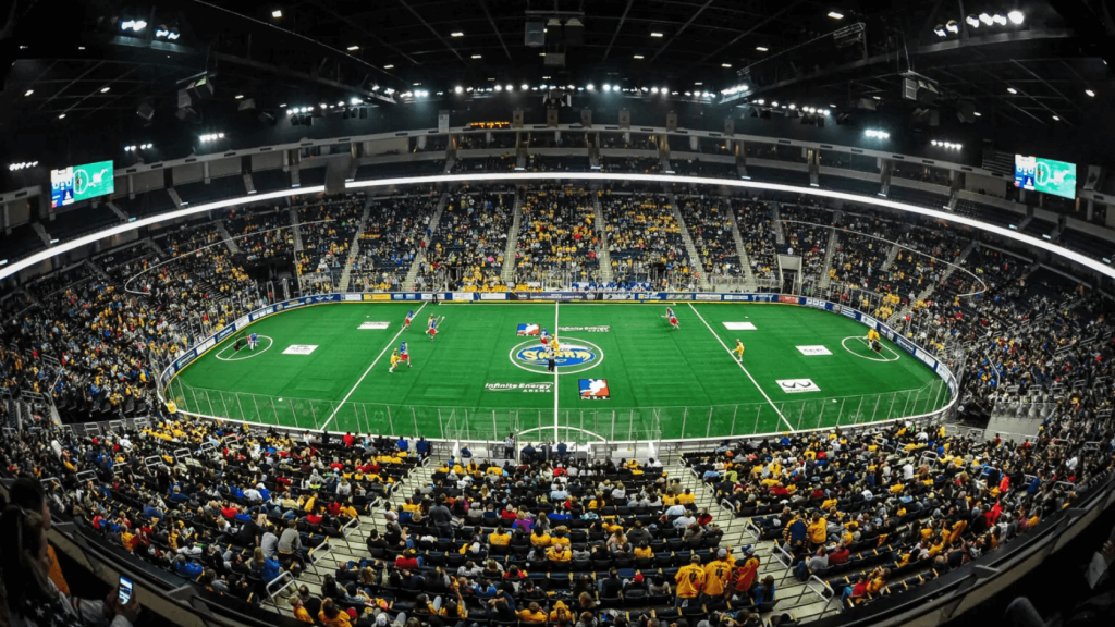 it-support-managed-services-provider-why-eclipse-is-proud-to-be-the-technology-partner-of-the-georgia-swarm-faq-best-msp